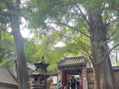 -青岛崂山太清宫