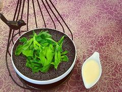 -欢乐海岸美食联盟