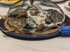 -77号渔船·蒸海鲜青岛菜(积米崖店)