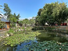 -瑞丰园庭院餐厅·白族传统家常菜