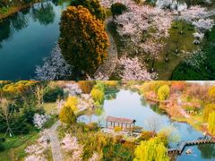 -苏州上方山国家森林公园