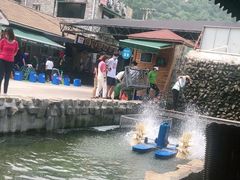-京北渔家傲