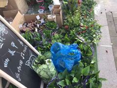 -杭州街角花屋花店(闻堰店)