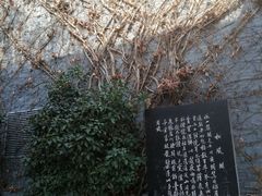 -杭州宋城