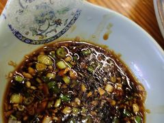 -九斤黄三黄鸡专卖店