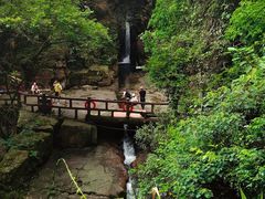 -鼎湖山风景区