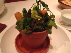 -文华扒房及酒吧(香港文华东方酒店)