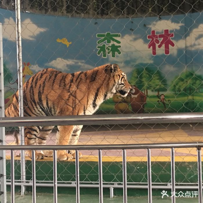 長沙生態動物園圖片 - 第5張