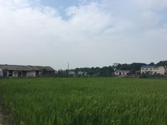 -关山古镇