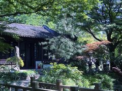 -上海醉白池公园