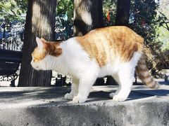 -北京鹫峰国家森林公园