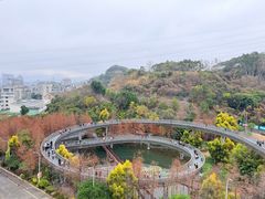 -福道