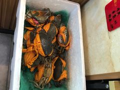 -501號台州海鲜餐厅(海创园店)