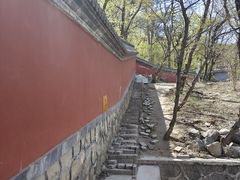 -阳台山自然风景区