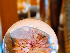 -二酉书店TOYOU BOOKS