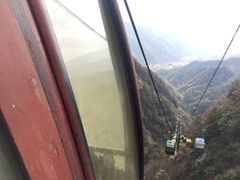 -王顺山国家森林公园