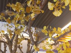 -京味斋·烤鸭·北京菜(安贞店)