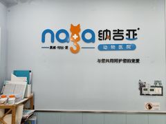 -纳吉亚猫专科动物诊疗中心(蒋宅口分院)