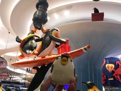 -帝企鹅自助餐厅•儿童岛•真企鹅(长隆企鹅酒店)