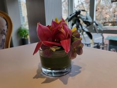 -蝶舍·MAISON PAPILLON