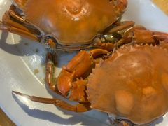 -老字号蛇口德记烧腊饭店·海鲜加工