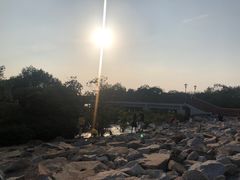 -宝安西湾红树林湿地公园