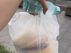 -猫里有甜