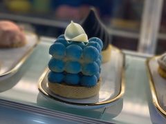 -星光城