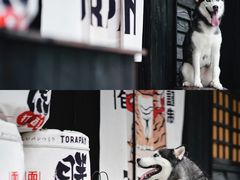 -胖虎打面团(九眼桥店)
