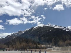 -金鼎雪山牦牛杂火锅(理县总店)