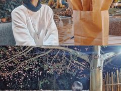 -天适樱花悠乐园