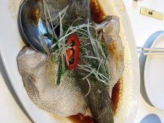 -至潮餐厅精致粤菜·活鲈鱼·走地鸡(珠江新城店)