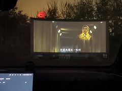 -枫花园汽车电影院(朝阳公园店)