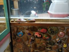 -猫咪博物馆(顶澳仔猫街店)