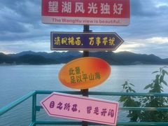 -望湖烤鱼
