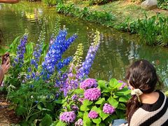 -人民公园(罗湖区)