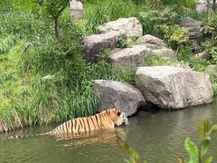 -宁波野生动物园