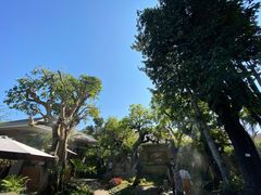 -Chom Cafe and Restaurant