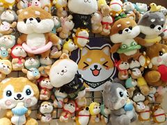 -逗柴咖啡屋·狗咖猫咖宠物桌游