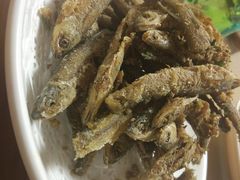 -全乐鱼馆·淳牌有机鱼直营店