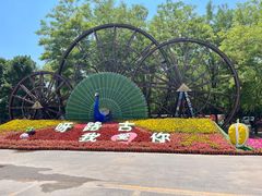 -呀路古热带植物园