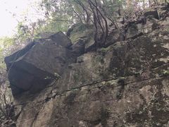 -藏龙百瀑风景区