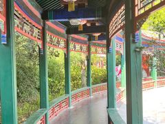 -武汉园博园(武汉自然博物馆)