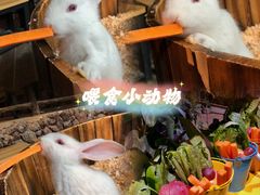 -正佳雨林生态植物园