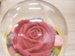 -哈根达斯(SM店)