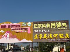 -正宗高流河饭店原创风姜鸡