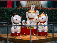 -小芳廷餐厅