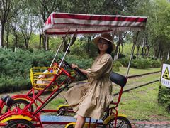 -永定河休闲森林公园