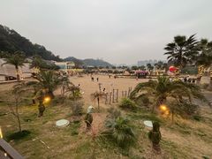 -辣出味岳阳特色烧烤·龙虾大排档(砂子塘总店)