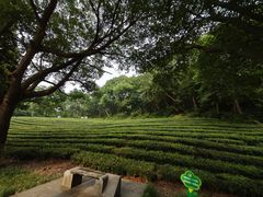 -敬亭山风景名胜区